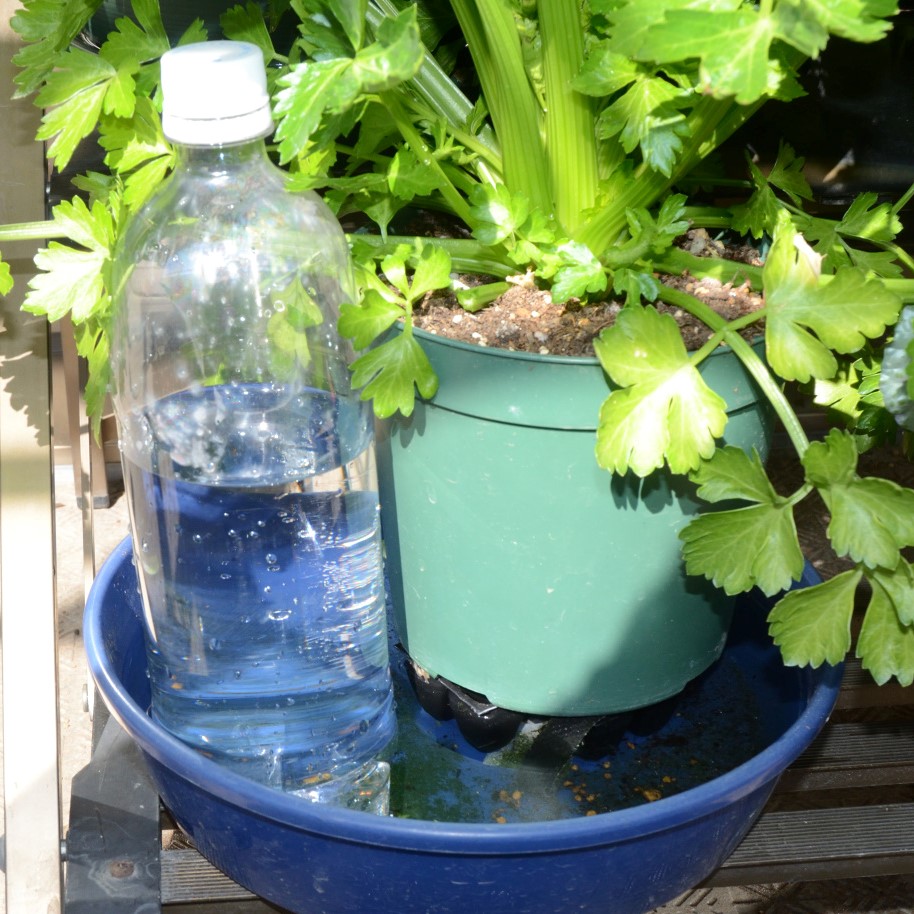 個人向け 底面潅水プランタ 化 ペットボトル植木鉢応用 給水能力増強等 緑水学舎 Simerus